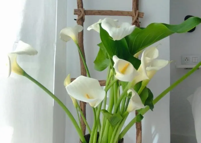 Appartamento Loft Marea