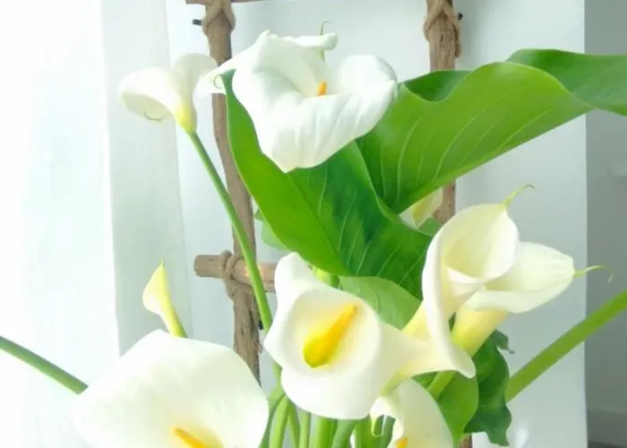 Appartamento Loft Marea Bermeo