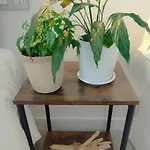 Appartement Loft Marea *