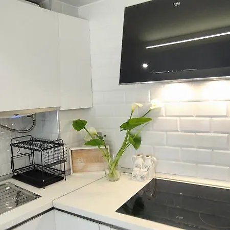 Apartment Loft Marea Bermeo