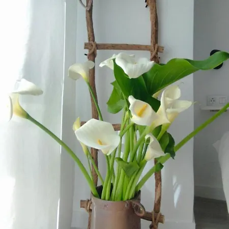 Apartamento Loft Marea