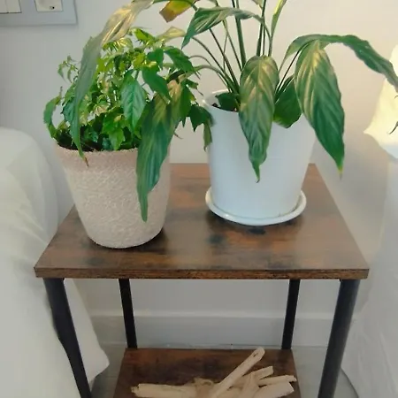 Apartamento Loft Marea *