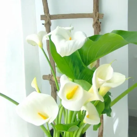 Apartment Loft Marea Bermeo